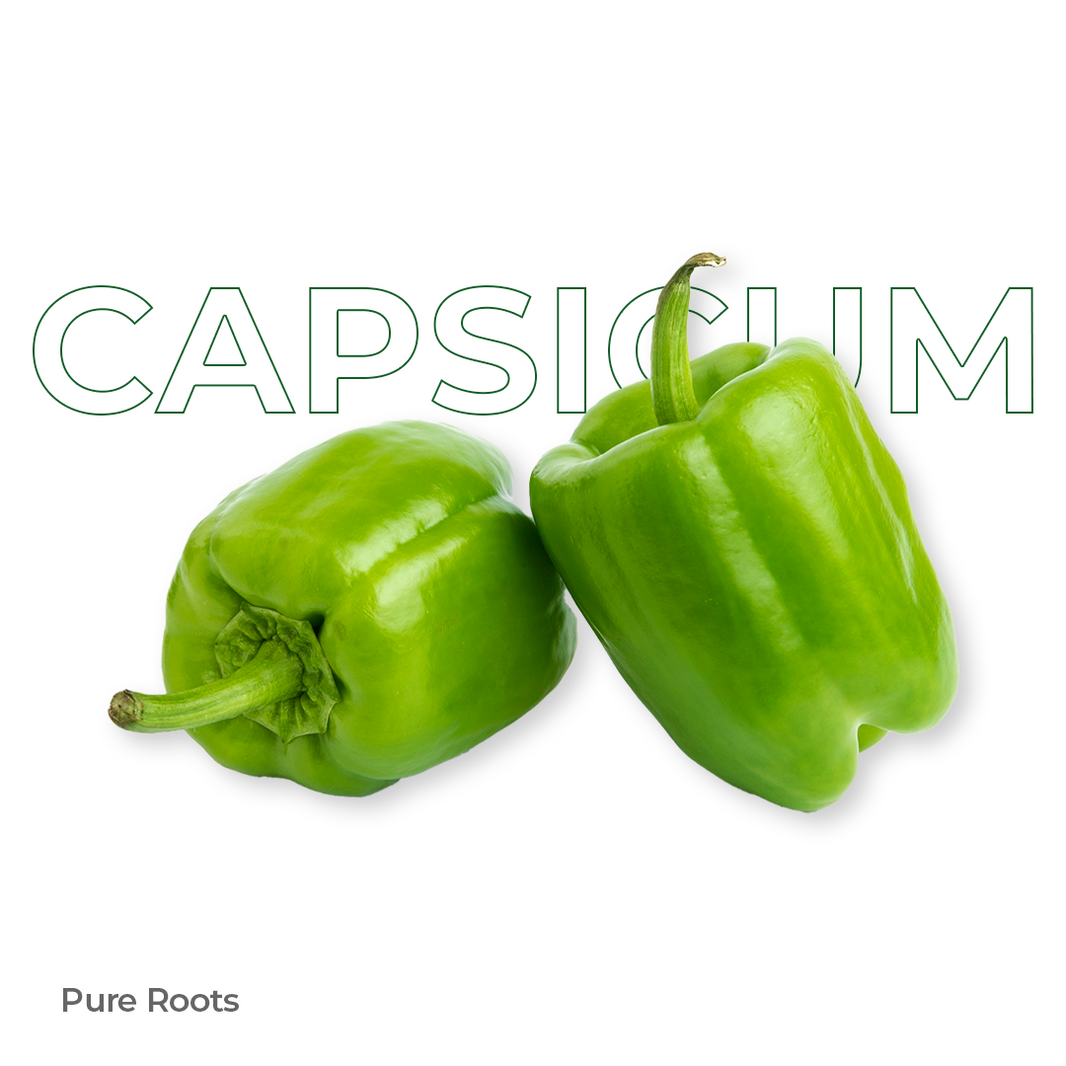 Organic Capsicum