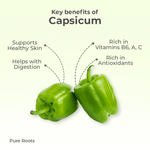 Organic Capsicum (Bell Pepper / Shimla Mirch)