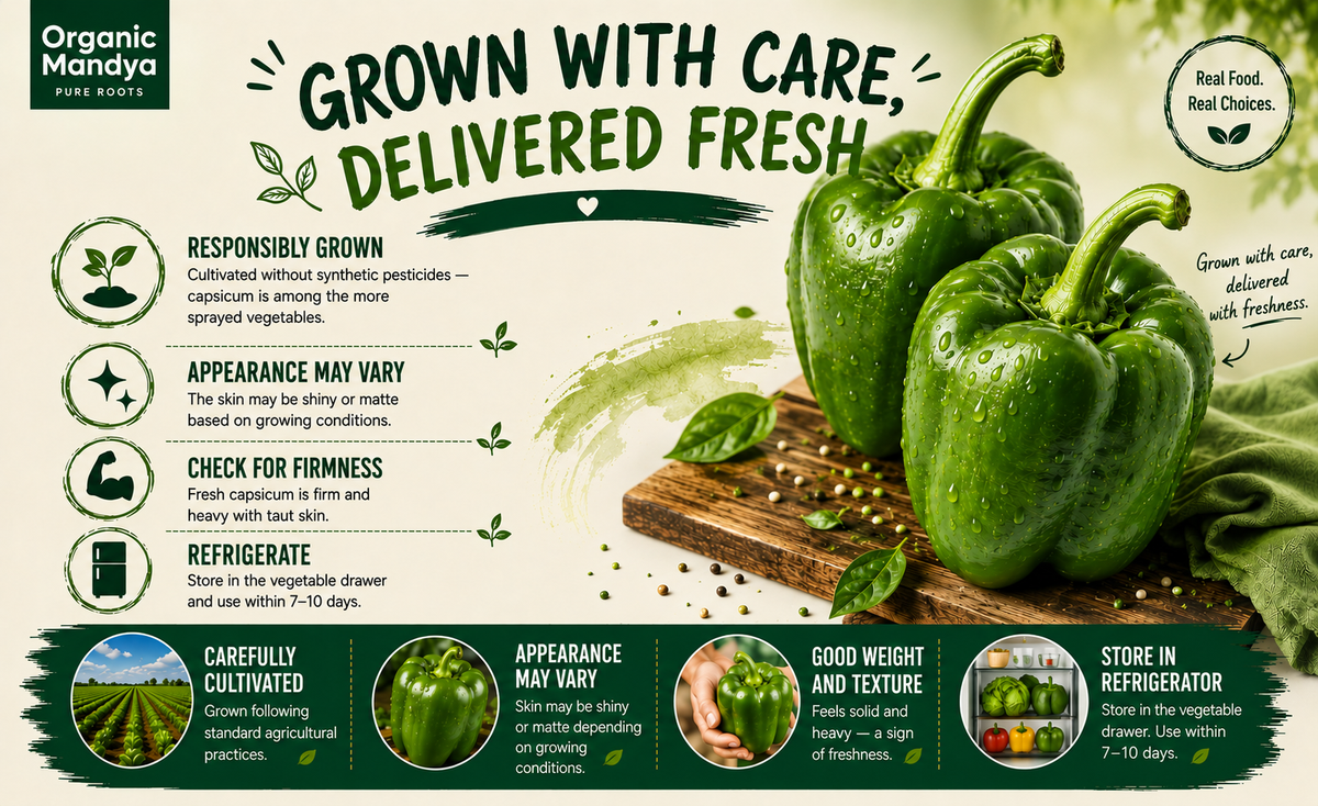 cultivated capsicum