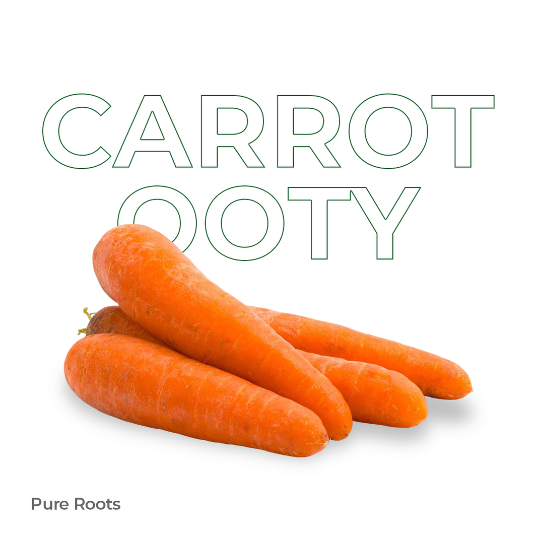 Organic Carrot Ooty