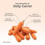 Organic Carrot Ooty (Ooty Carrot / Hill Carrot)