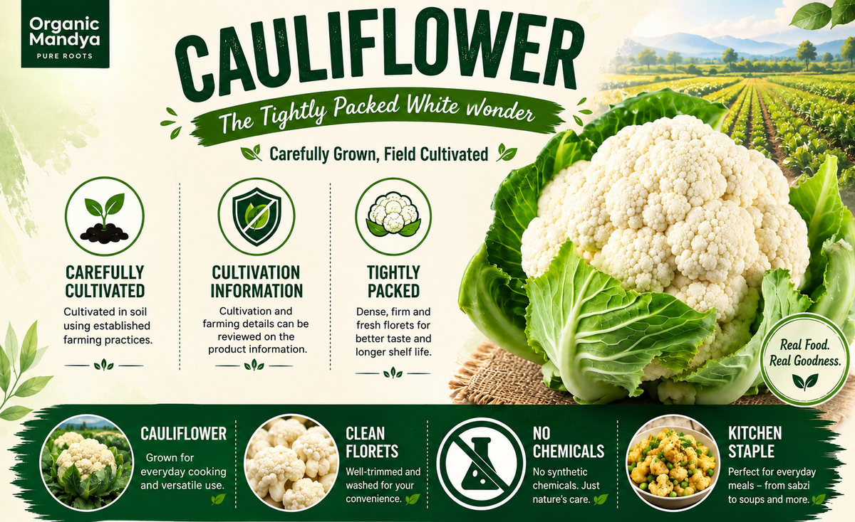 Fresh Cauliflower Farm Grown