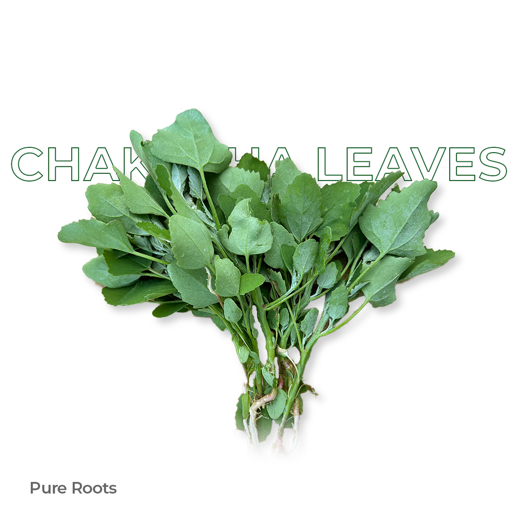 Organic Chakotha Leaves Organic Mandya
