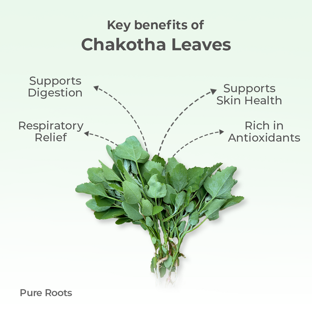 Organic Chakotha Leaves Organic Mandya