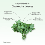 Organic Mandya Chakotha Leaves