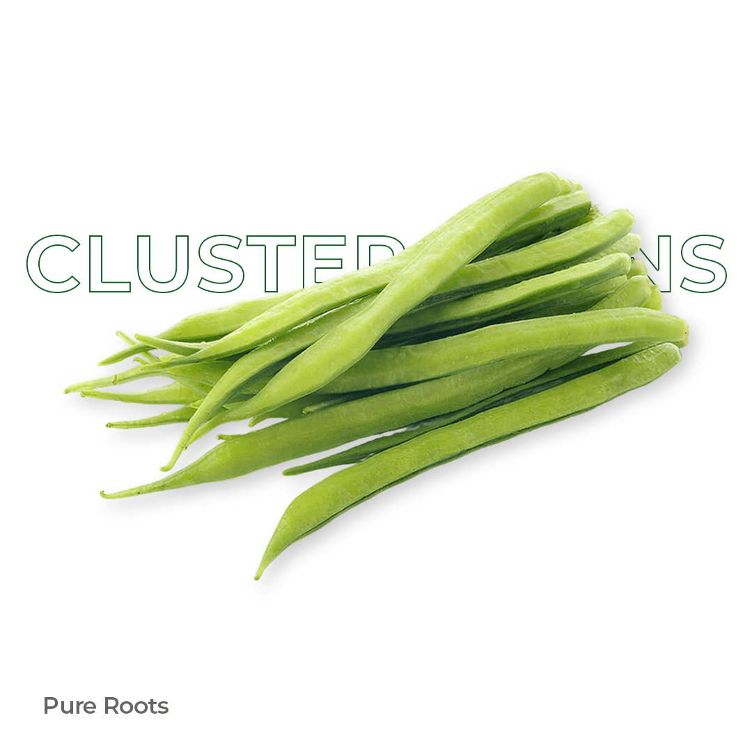 Organic Cluster Beans - Organic Mandya