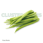 Organic Cluster Beans (Kothavarangai / Gorikayi)