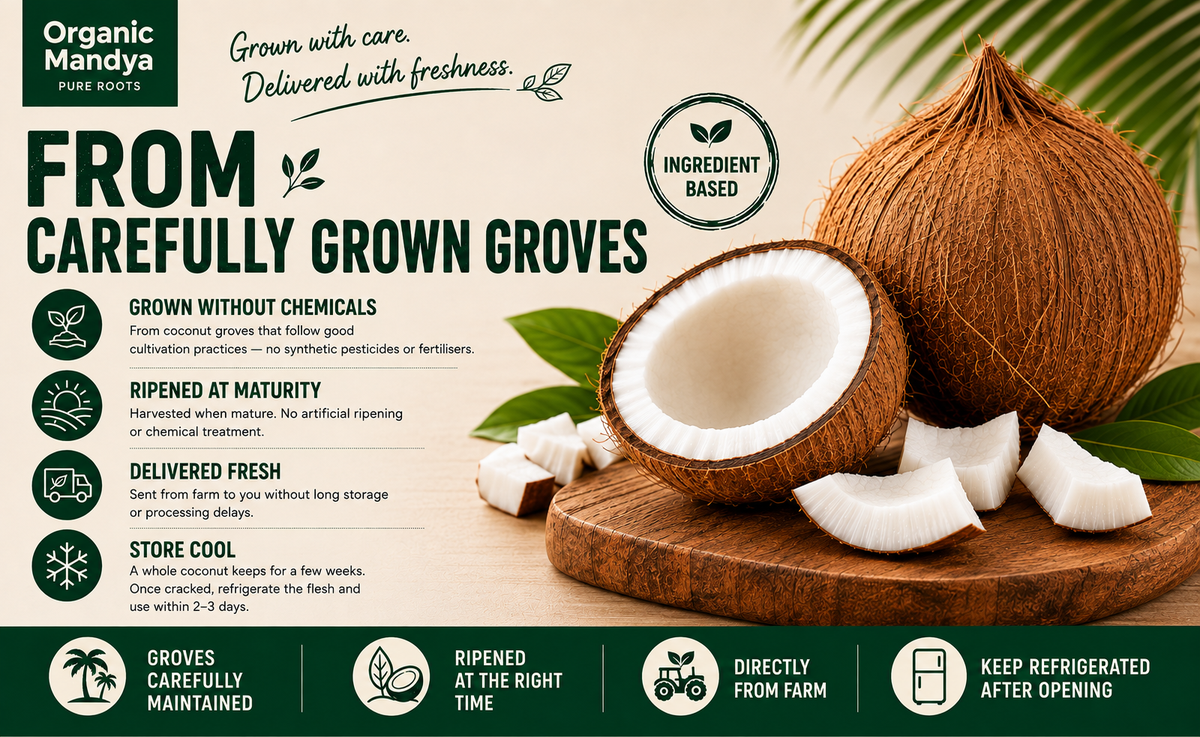 Whole coconut with coconut flesh