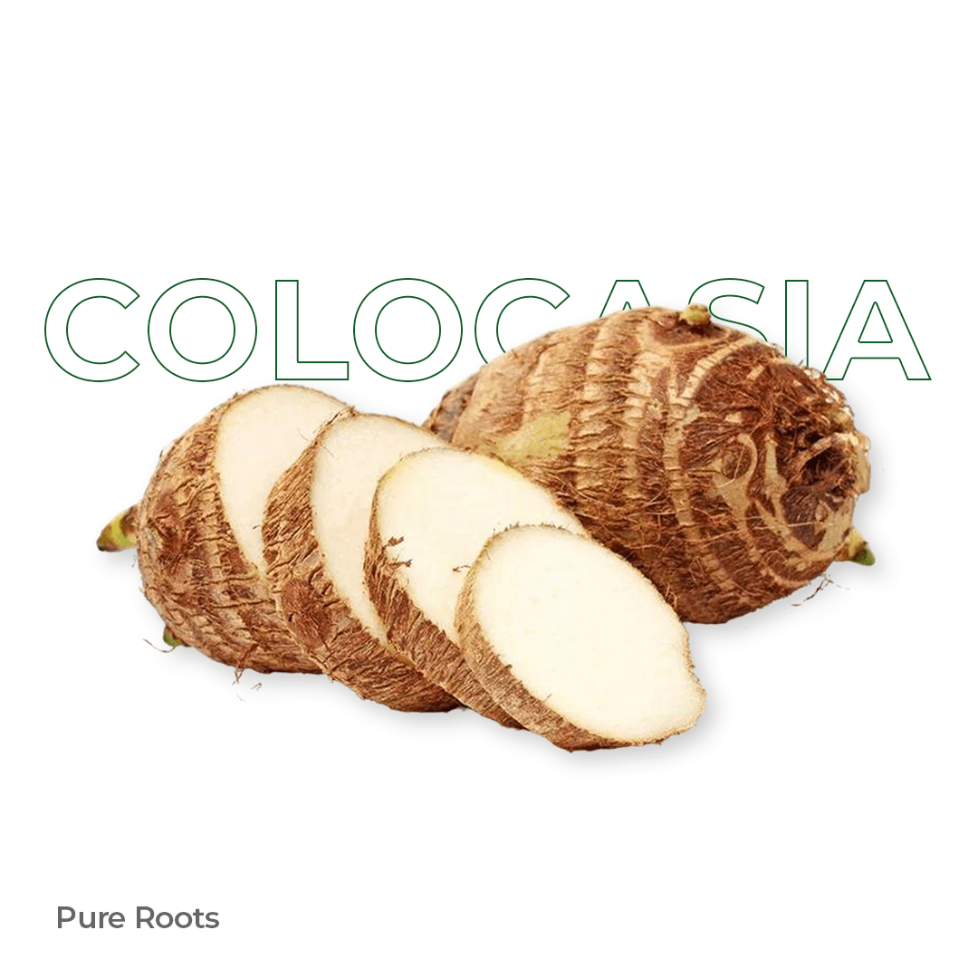 Organic Colocasia - Organic Mandya