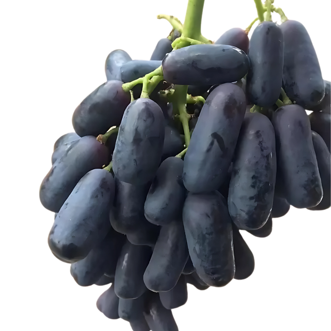 Organic Black Grapes