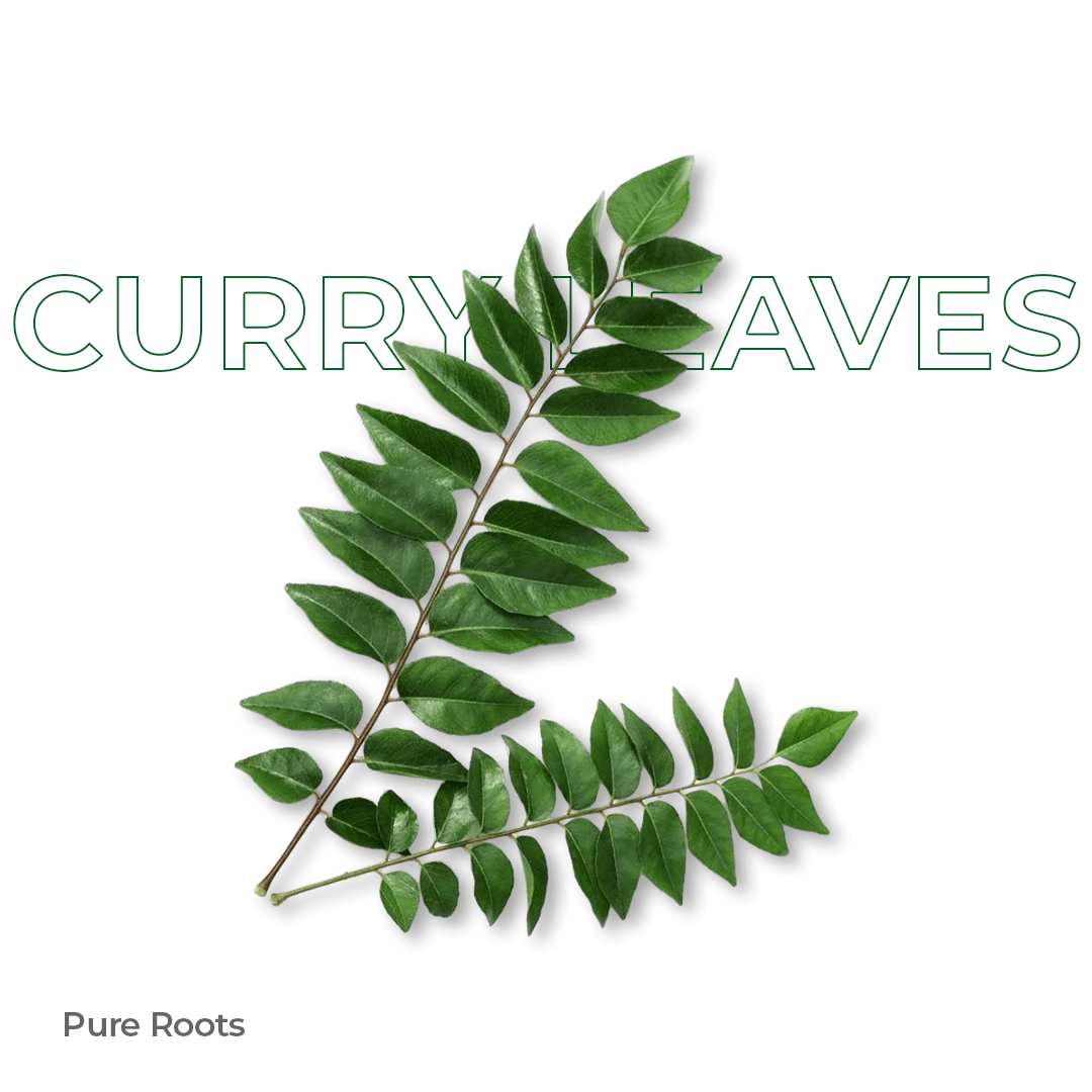 Organic Curry Leaves - Organic Mandya