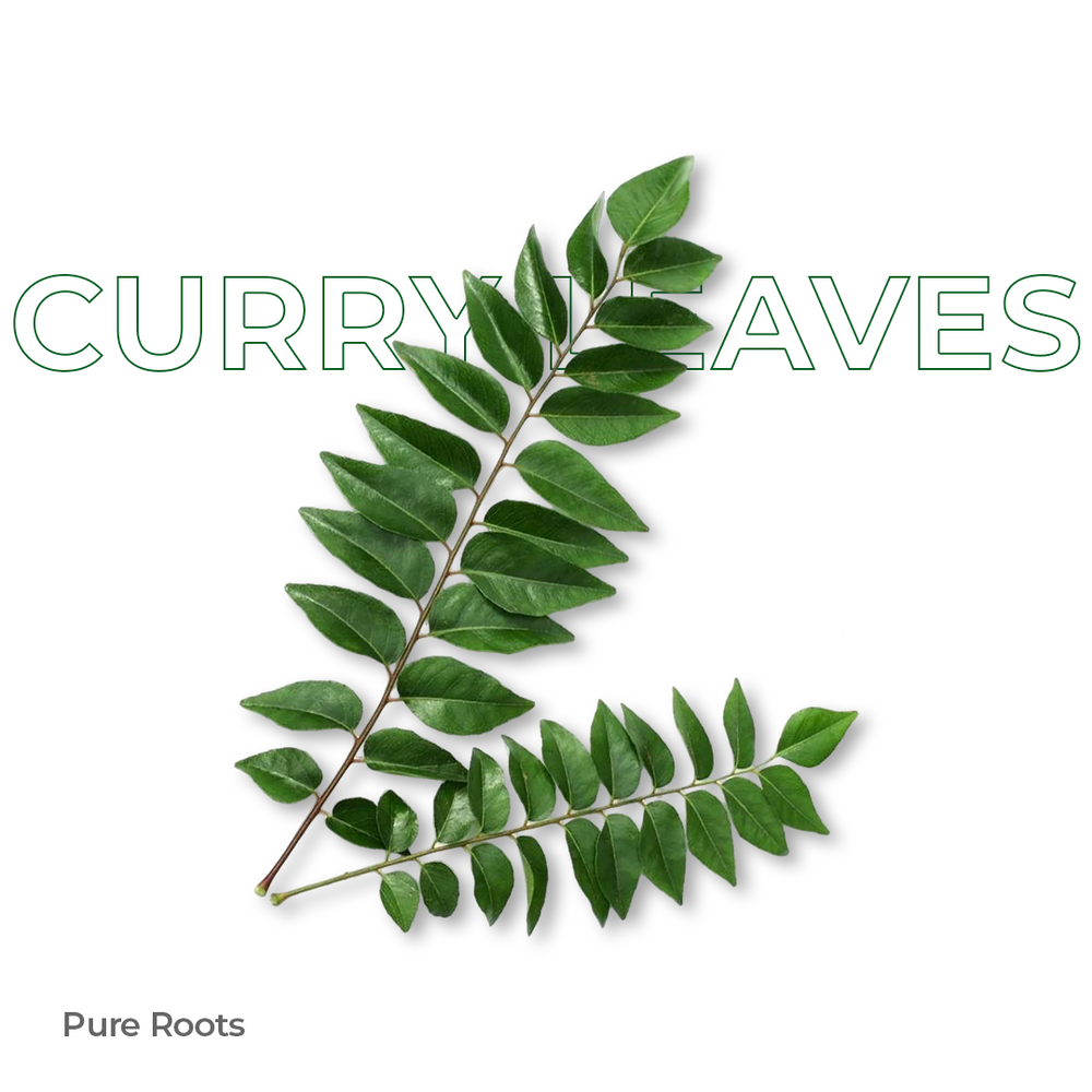 Organic Curry Leaves Organic Mandya