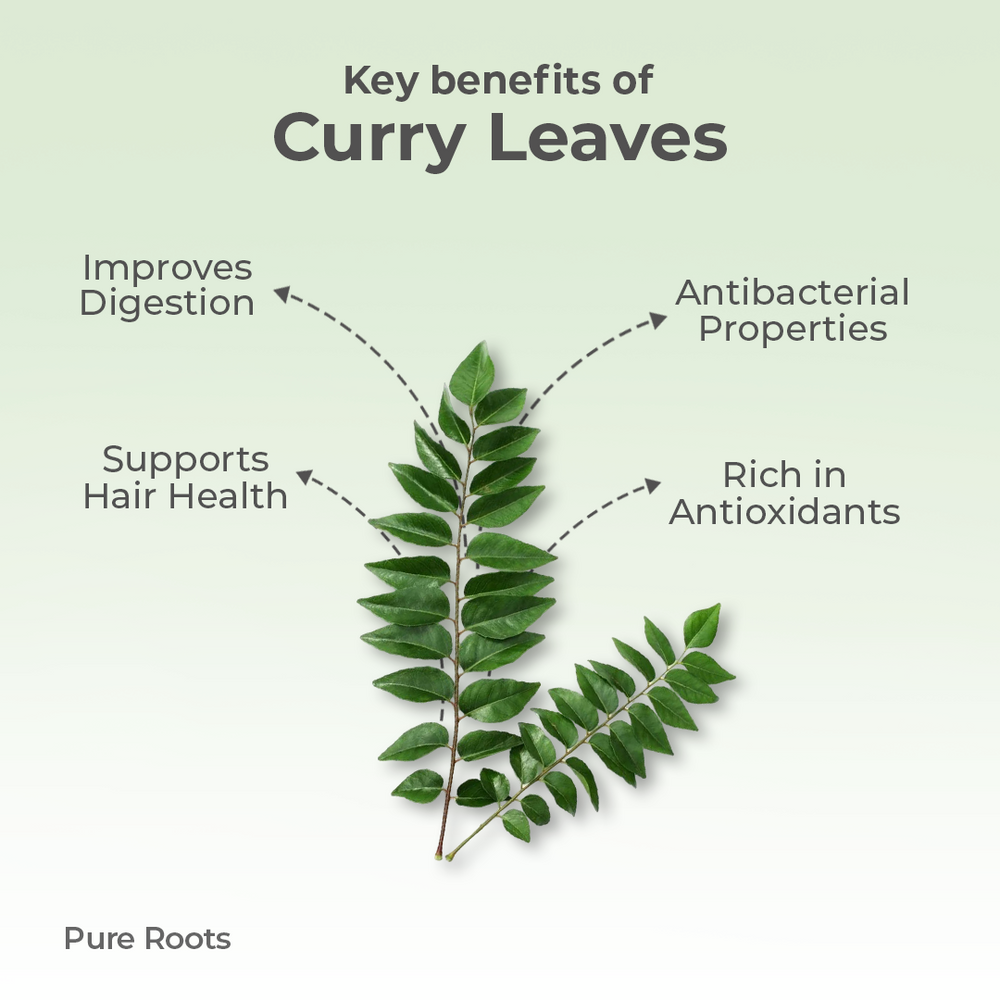 Organic Curry Leaves Organic Mandya