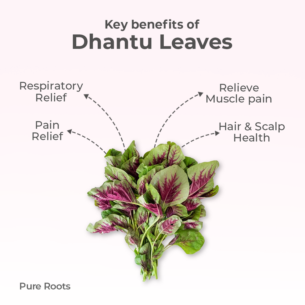 Organic Dhantu Leaves Organic Mandya