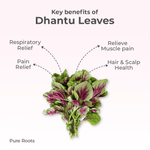 Organic Dhantu Leaves