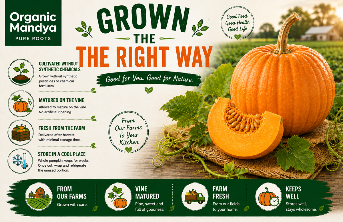Whole And Cut Pumpkin