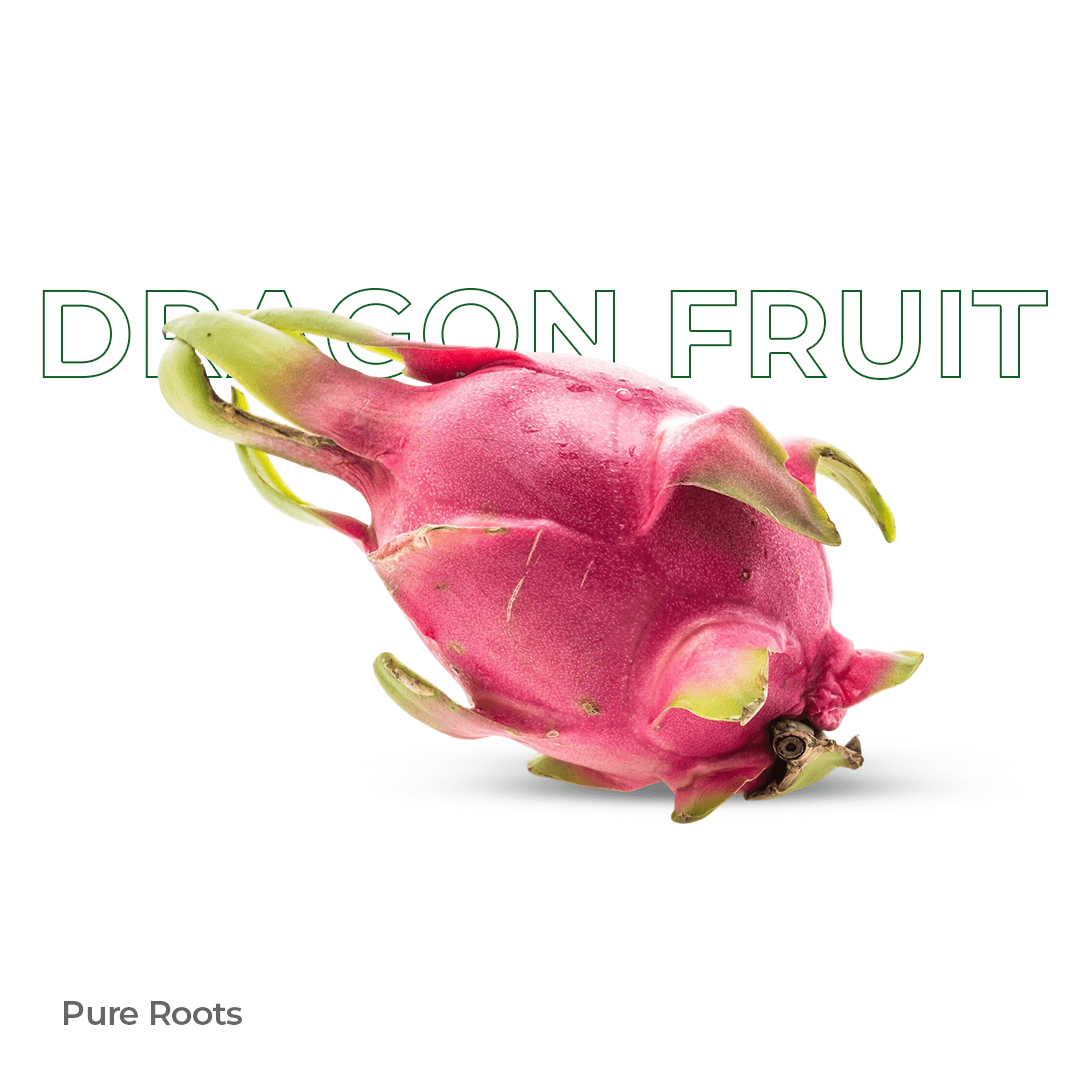 Organic Dragon Fruit - Organic Mandya