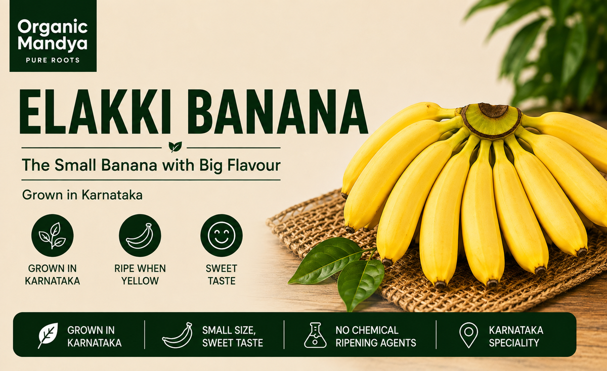 grown elakki banana