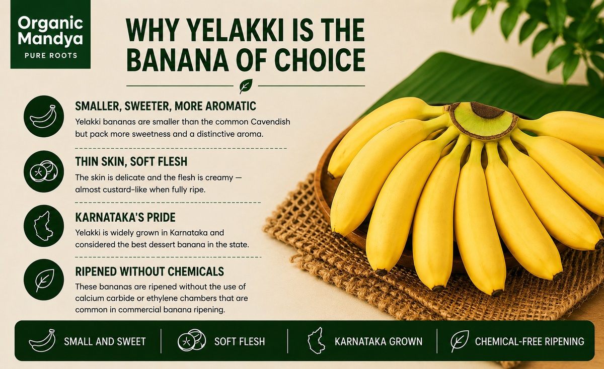 elakki banana