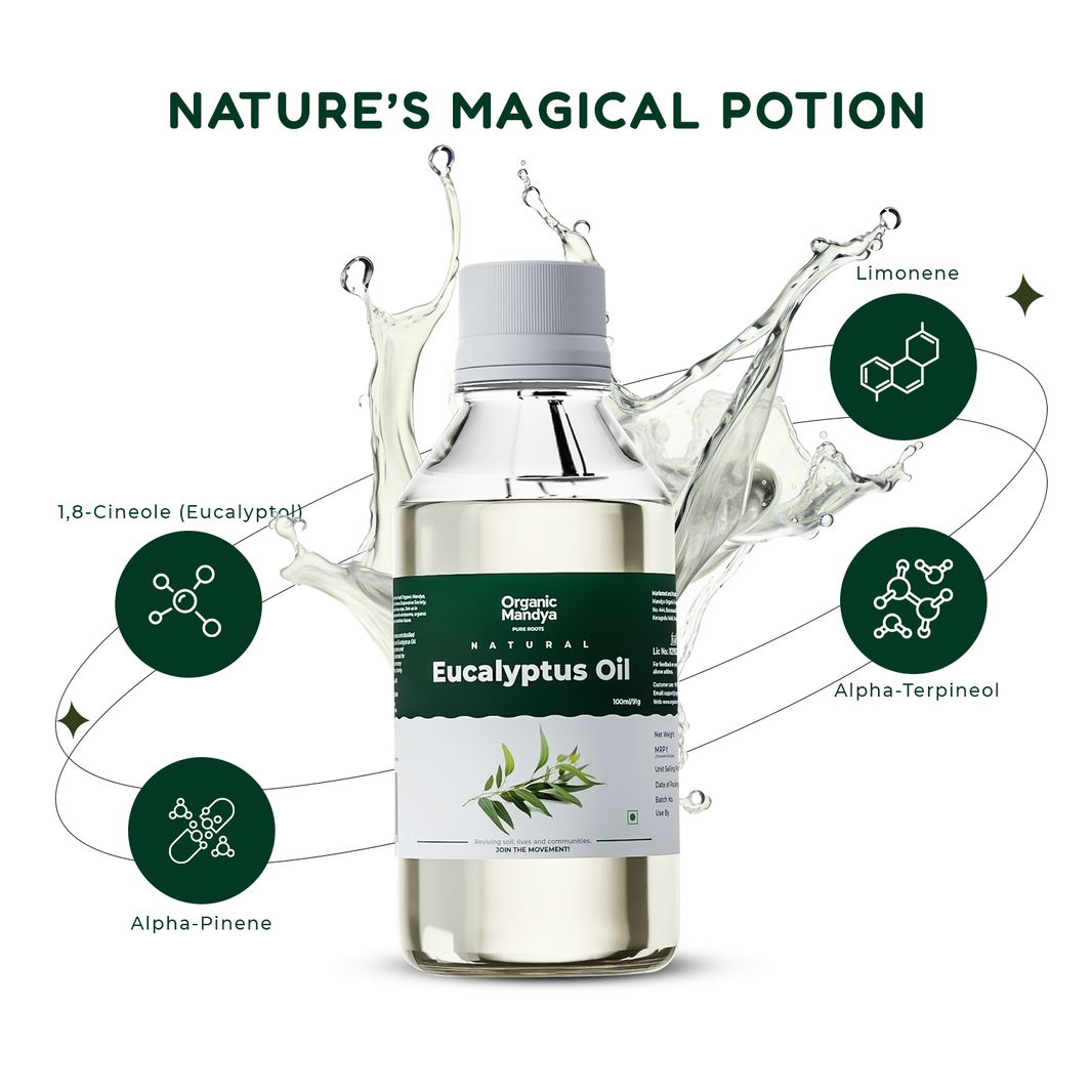 Organic Eucalyptus Oil (100ml)