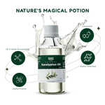 Organic Eucalyptus Oil – Pure Eucalyptus Essential Oil for Aromatherapy & Wellness
