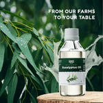 Organic Eucalyptus Oil – Pure Eucalyptus Essential Oil for Aromatherapy & Wellness
