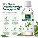 Eucalyptus Oil Essential Oil, 100ml | Organic Mandya