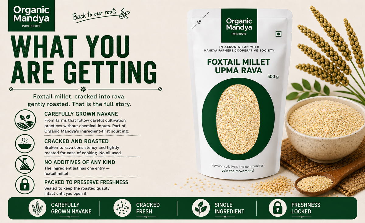 Foxtail Millet Cooking Ingredient