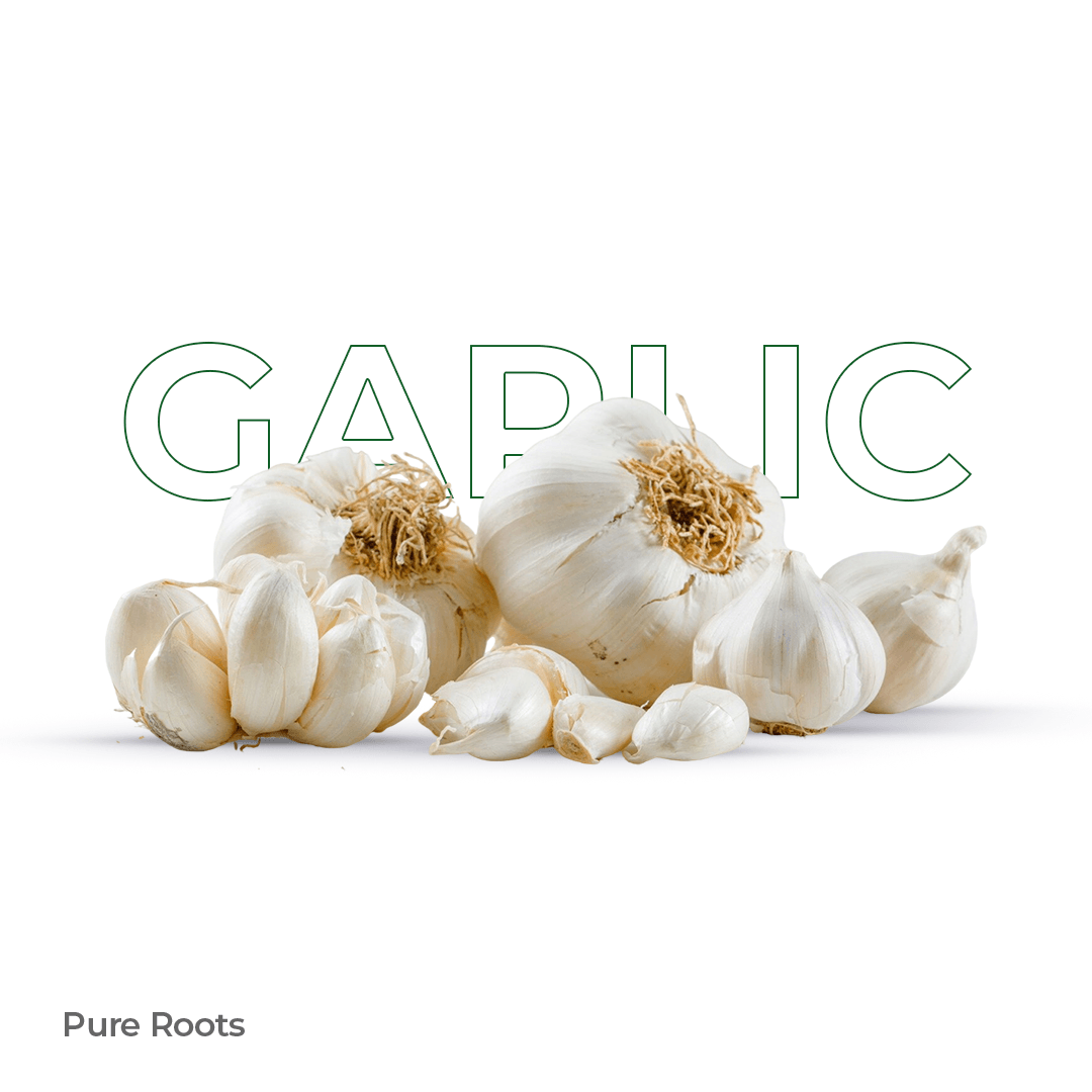 Organic Garlic - Organic Mandya