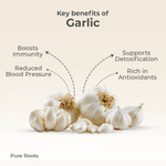 Organic Garlic