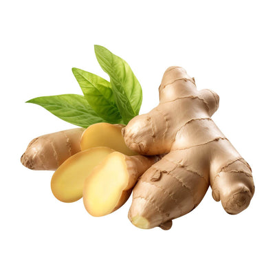 Fresh Ginger (Adrak / Shunti) Organic, Aromatic Root