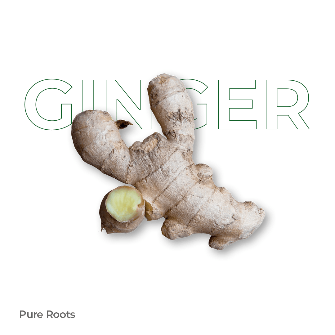 Organic Ginger - Organic Mandya
