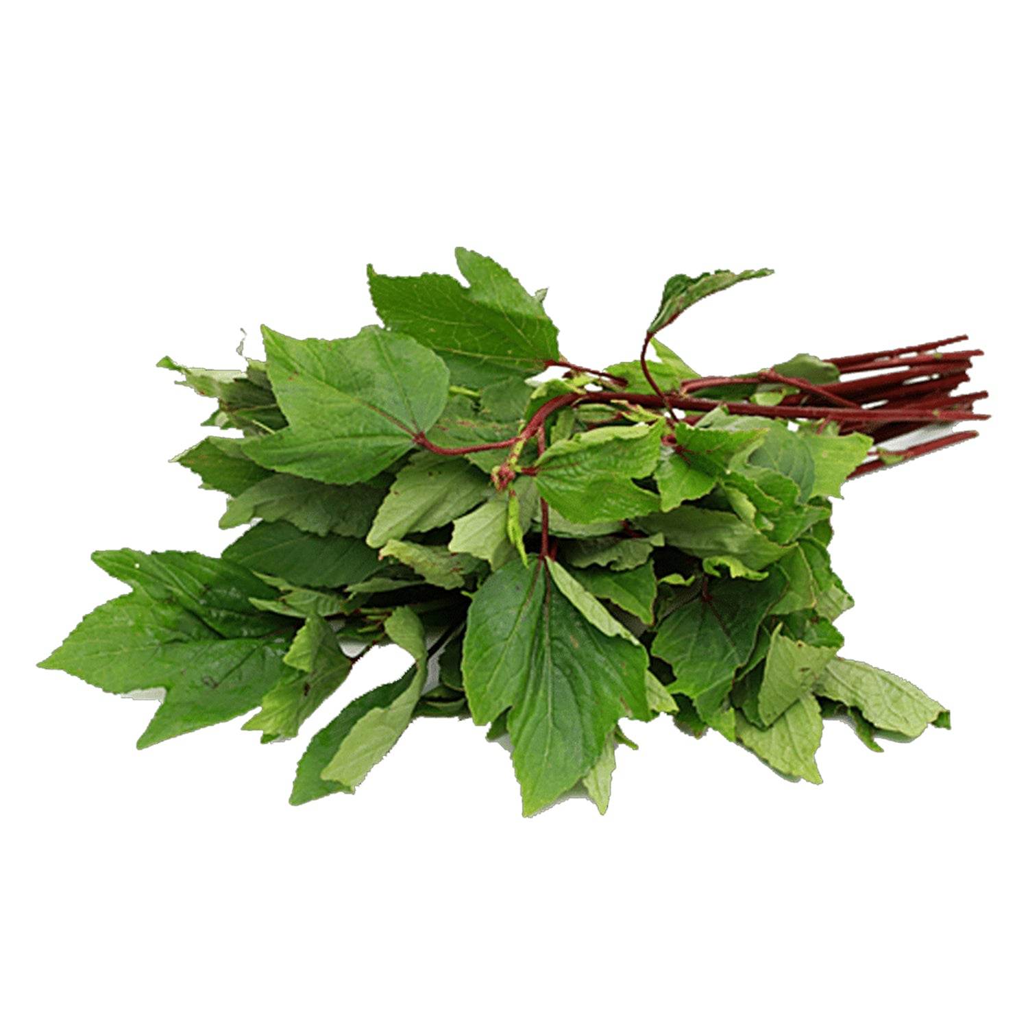 Organic Gongura Leaves (Soppu) - Organic Mandya