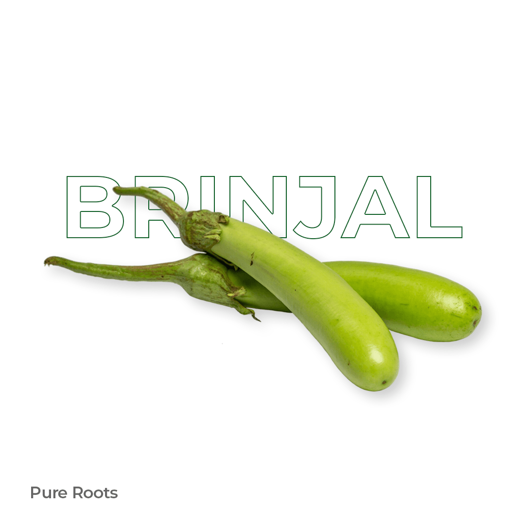Organic Brinjal - Organic Mandya