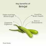 Organic Brinjal