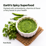 Green Chilli (Hari Mirch / Menasinakayi)