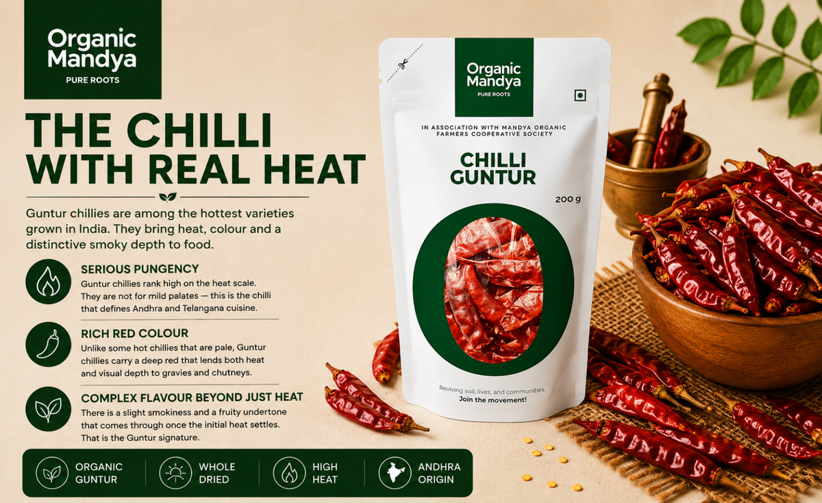 natural-guntur-chilli