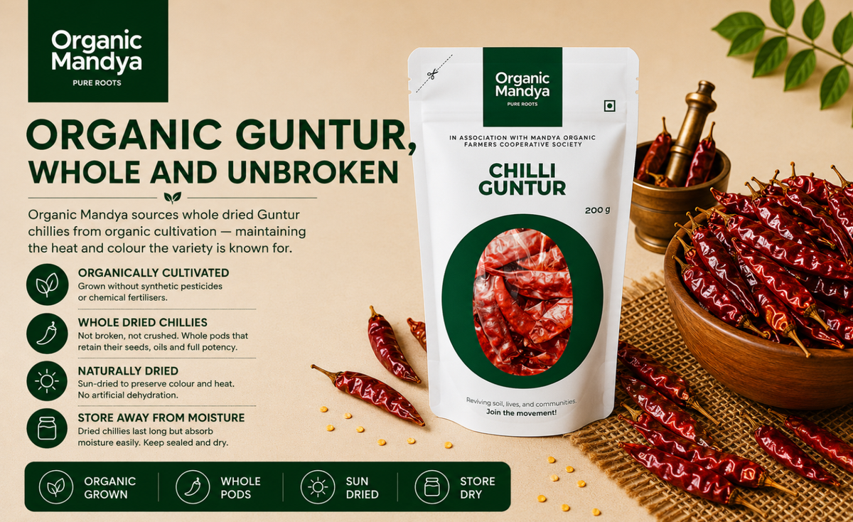 authentic-guntur-chilli