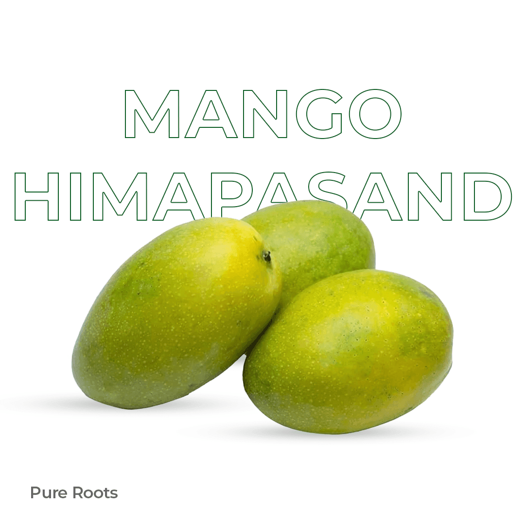 Organic Mango Himapasand Raw (Semi-ripe & mildly sweet) - Organic Mandya