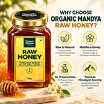 Himalayan Raw Honey | Multifloral & Unpasteurised