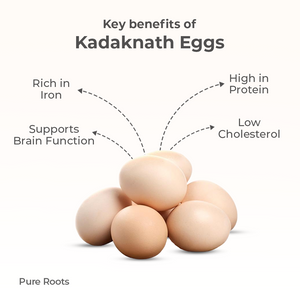 Kadaknath egg Organic Mandya