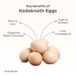 Kadaknath Eggs (Pack of 6) – High Protein Desi Black Eggs