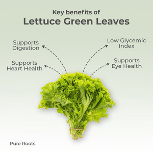Organic Lettuce Green Leaves Organic Mandya