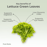 Organic Lettuce Green Leaves (Green Leaf Lettuce)