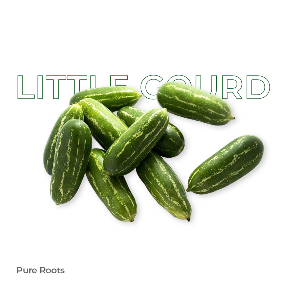 Organic Little Gourd Organic Mandya