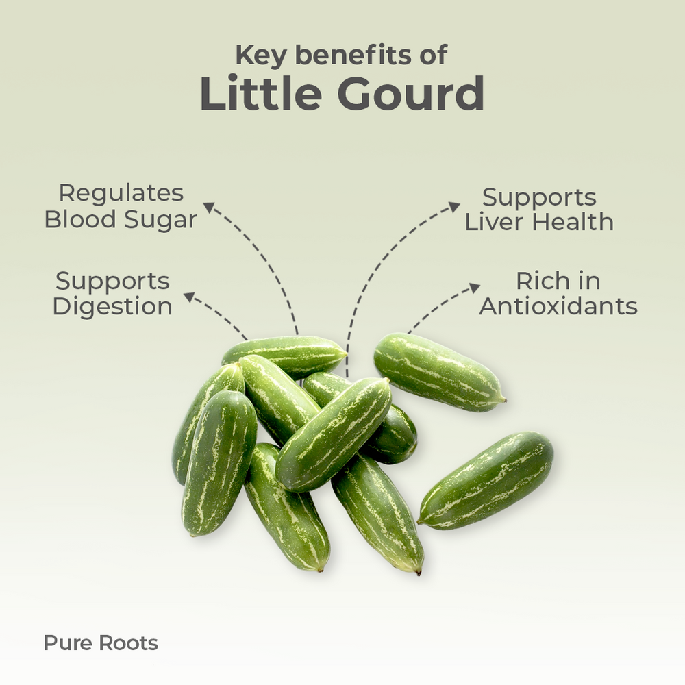 Organic Little Gourd Organic Mandya