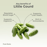Organic Little Gourd (Ivy Gourd / Tondekayi)