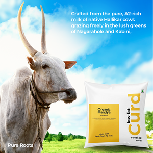 A2 Low Fat Curd Organic Mandya