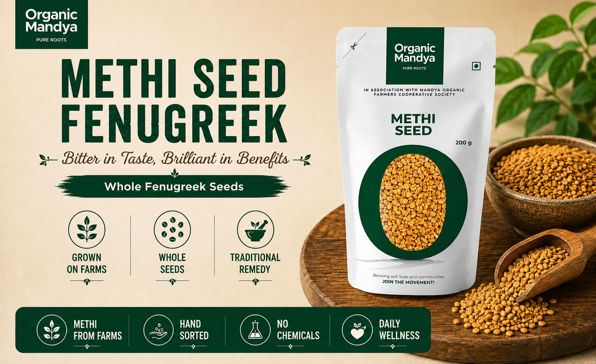 methi seed fenugreek