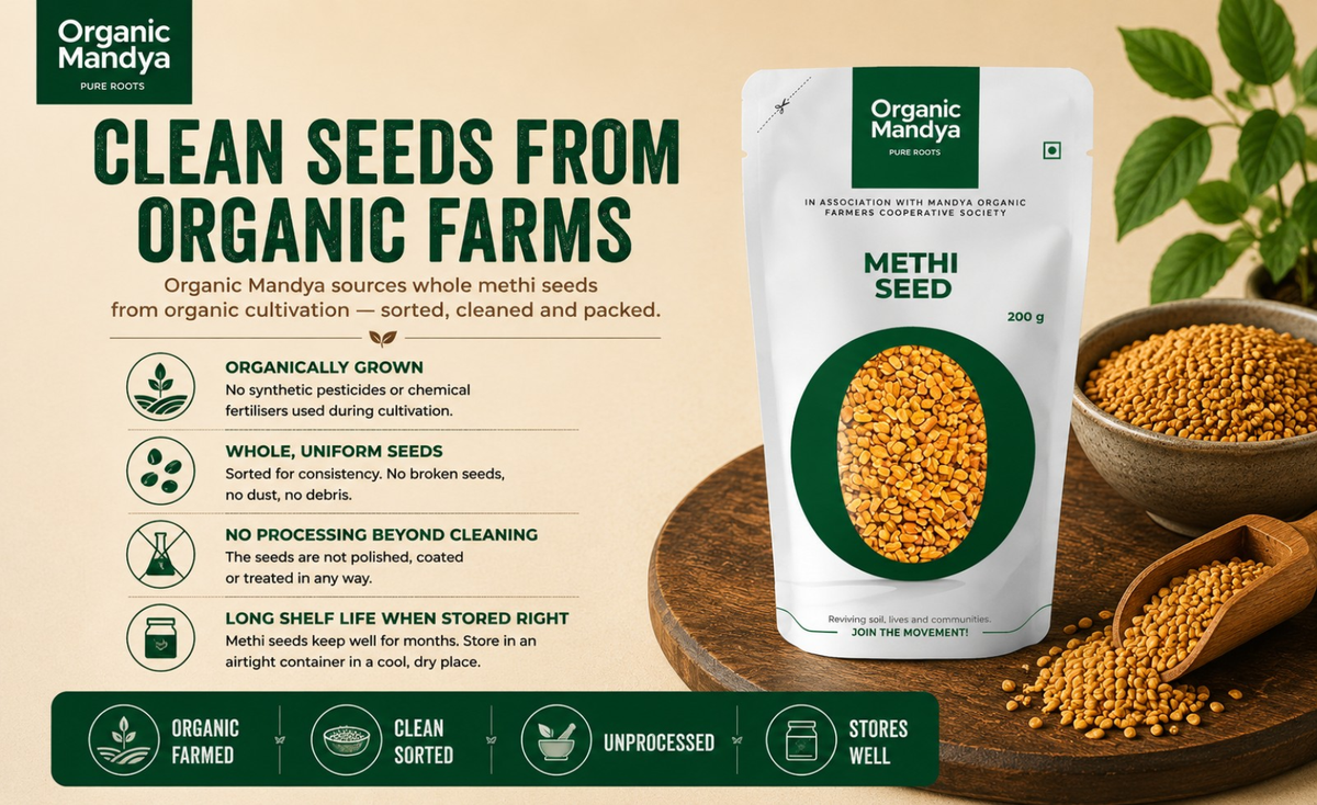 plant methi seeds Organic Methi Seeds